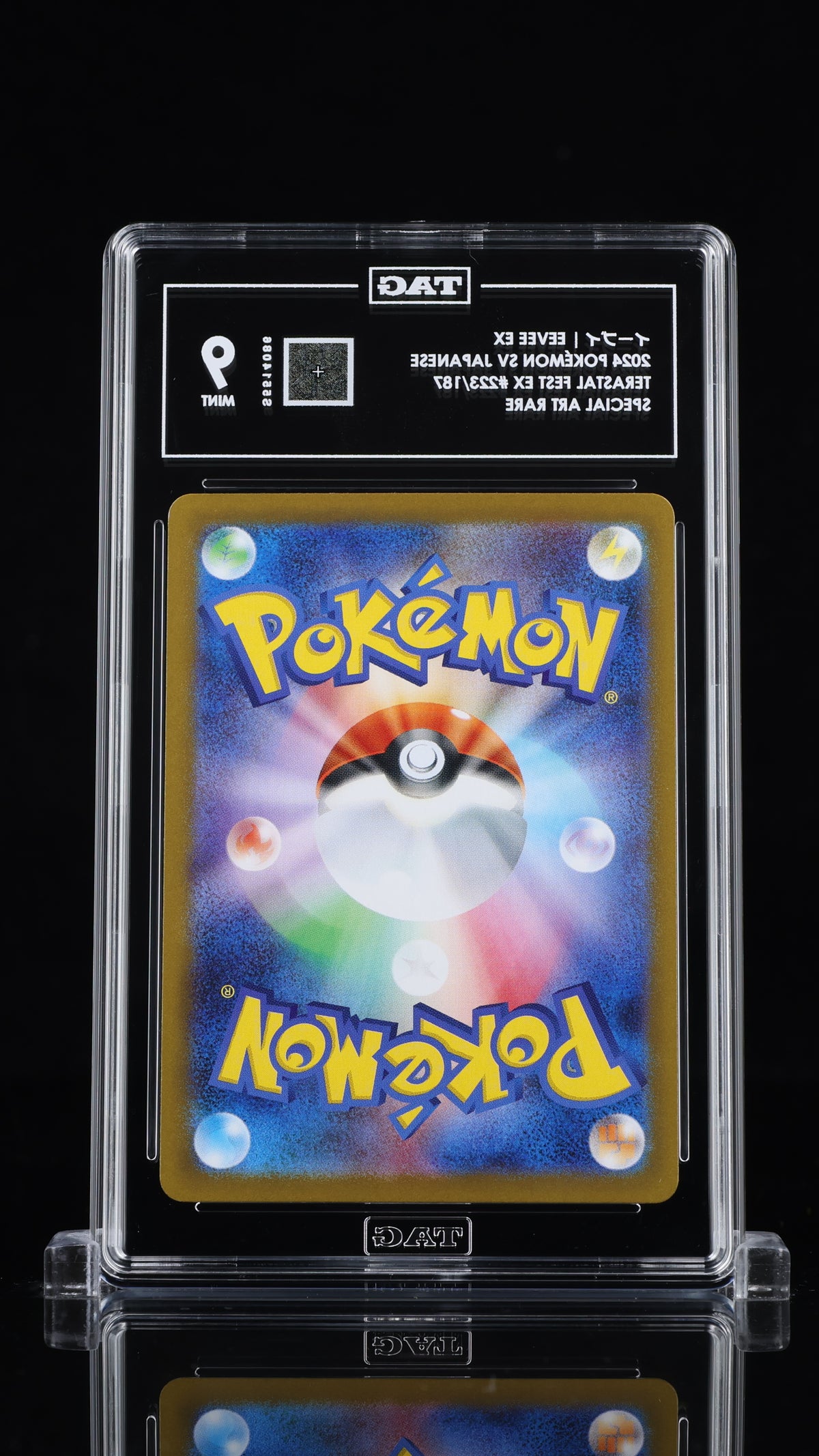 TAG 9 Eevee ex 223 Terastal Festival SV8a Japanese Pokémon SAR