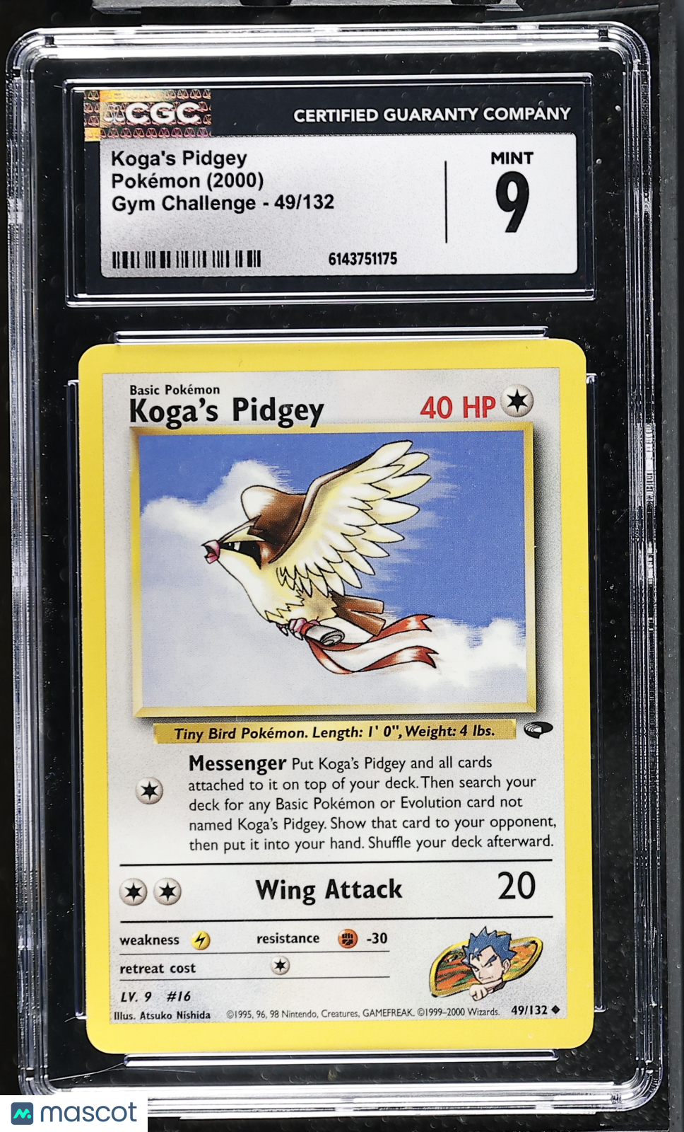 CGC 9 Mint Koga's Pidgey 49/132 Uncommon Gym Challenge 2000 Pokemon Card