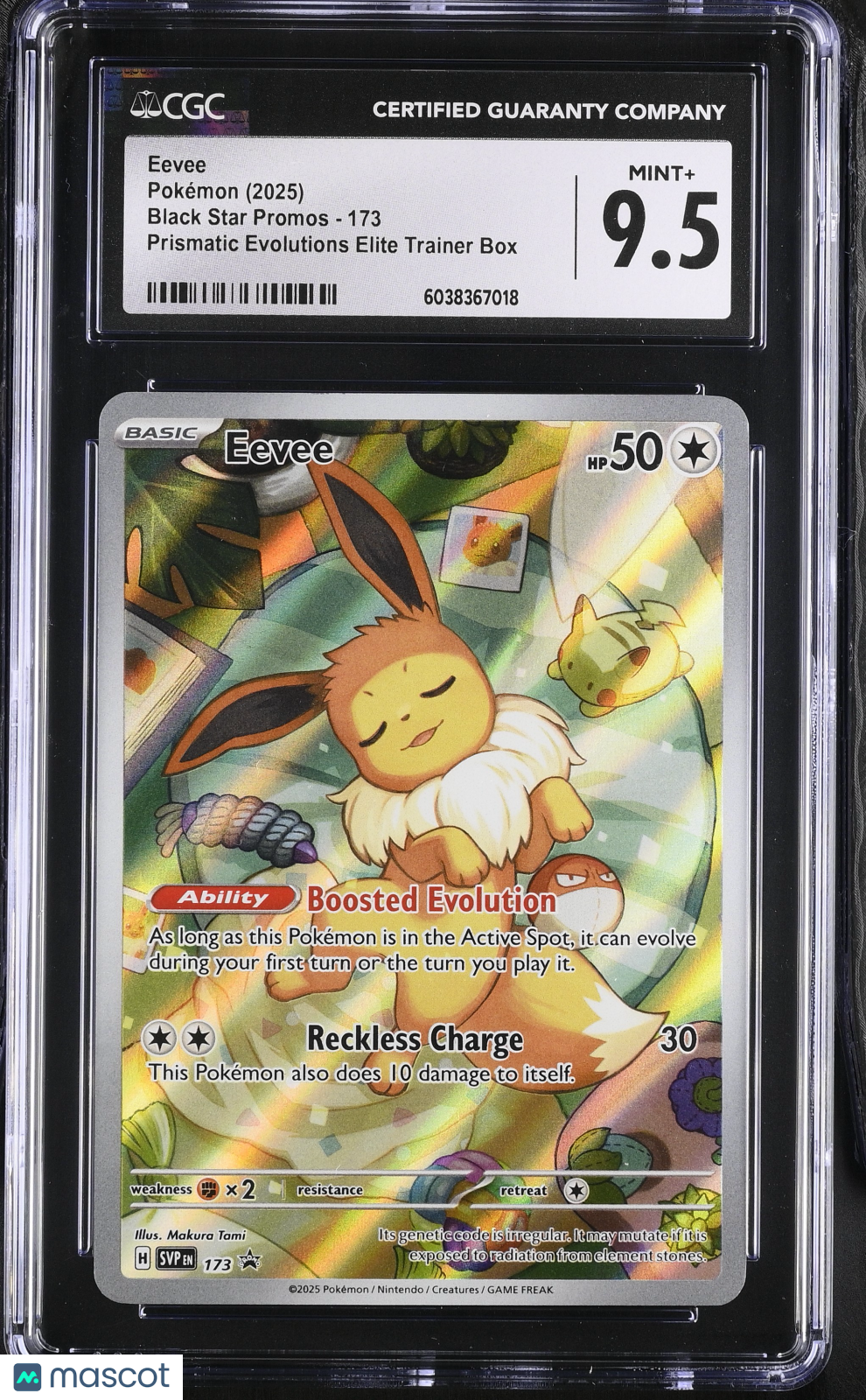 CGC 9.5 Mint+ Eevee 173 Scarlet & Violet Black Star Promos Pokemon