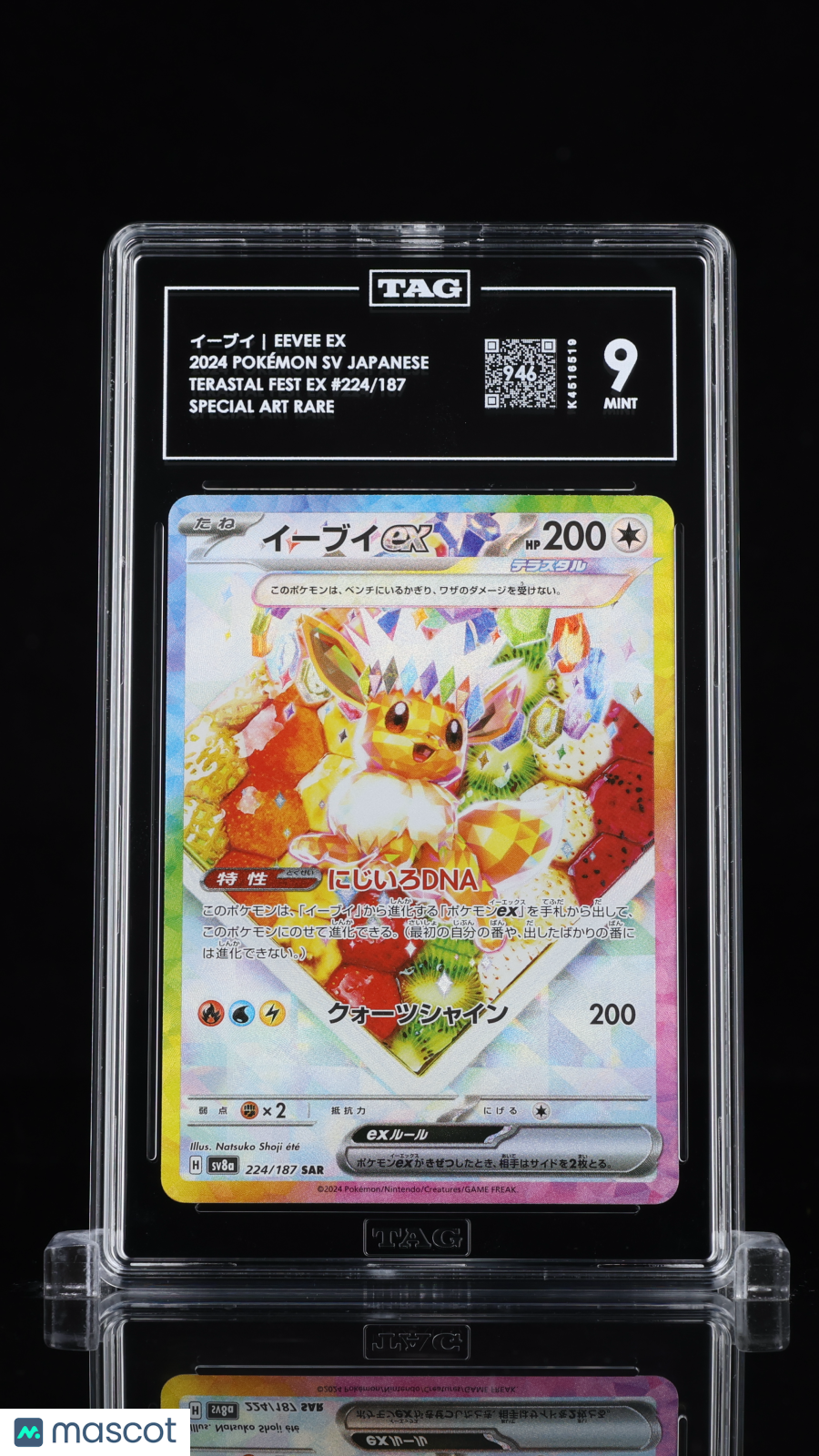TAG 9 Eevee ex 224 Terastal Festival SV8a Japanese Pokémon SAR