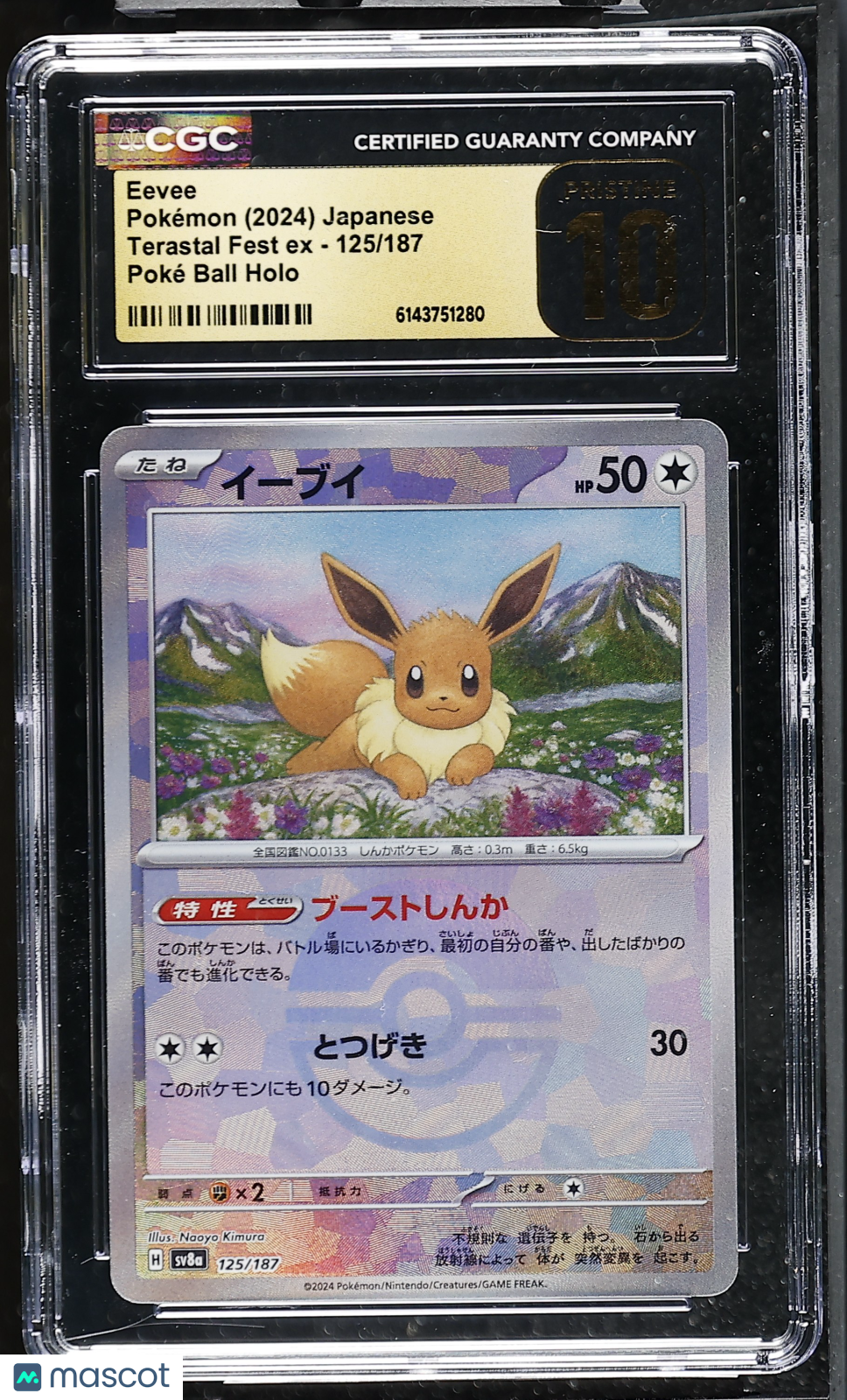 CGC 10 Pristine Eevee 125/187 Poke Ball Terastal Fest SV8a Japanese Pokemon Card
