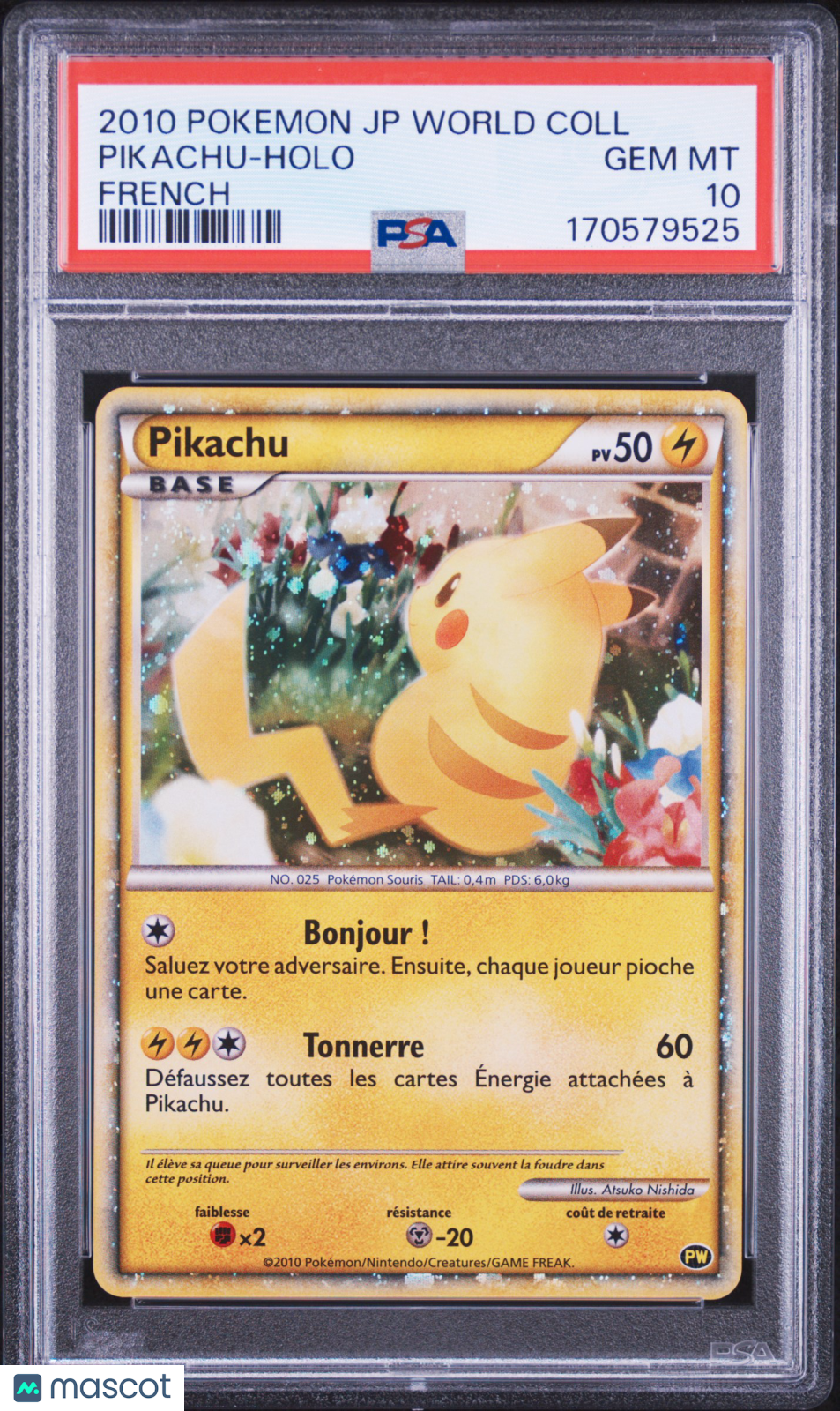 PSA 10 Gem Mint Pikachu 2010 World Collection French Holo Promo Pokemon Card