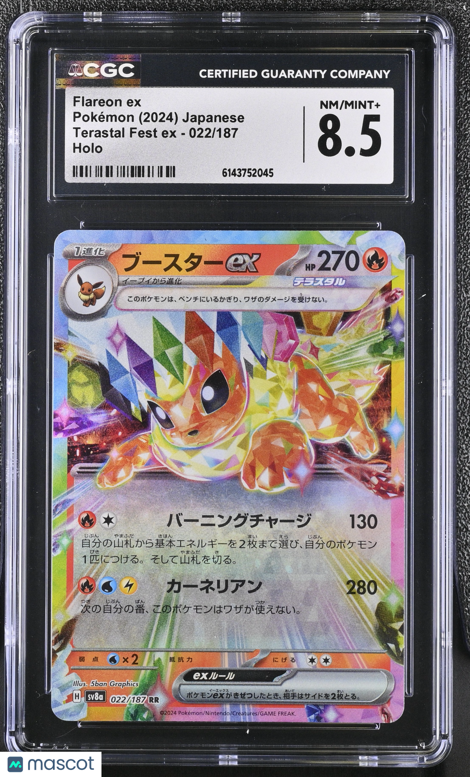 Flareon ex #022/187 Japanese 2024 Pokemon Terastal Fest ex RR CGC 8.5 NM/Mint+