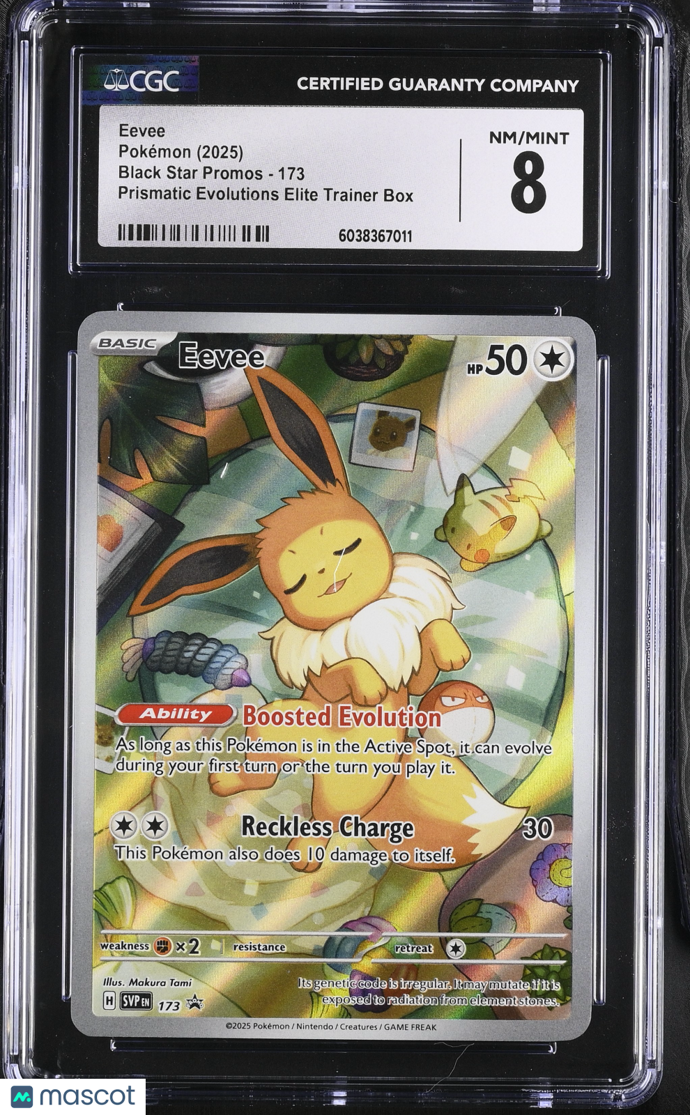 CGC 8 NM/Mint Eevee 173 Scarlet & Violet Black Star Promos Pokemon