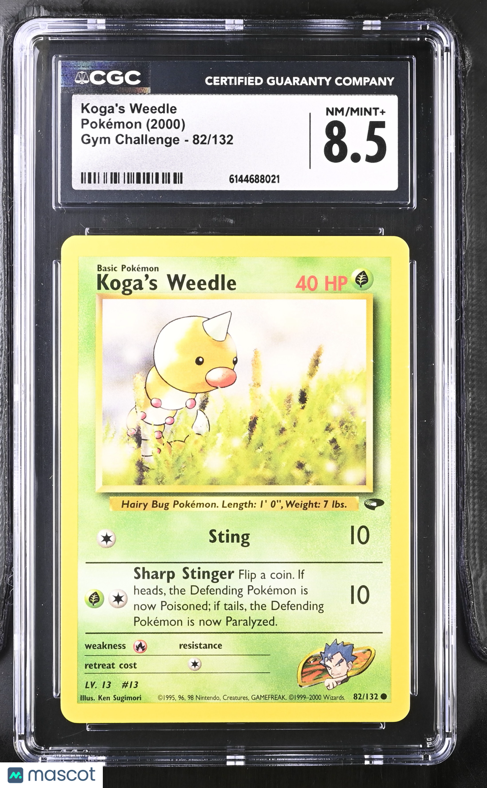 Koga's Weedle 82/132 Gym Challenge Unlimited 2000 Pokemon CGC 8.5 NM/Mint+