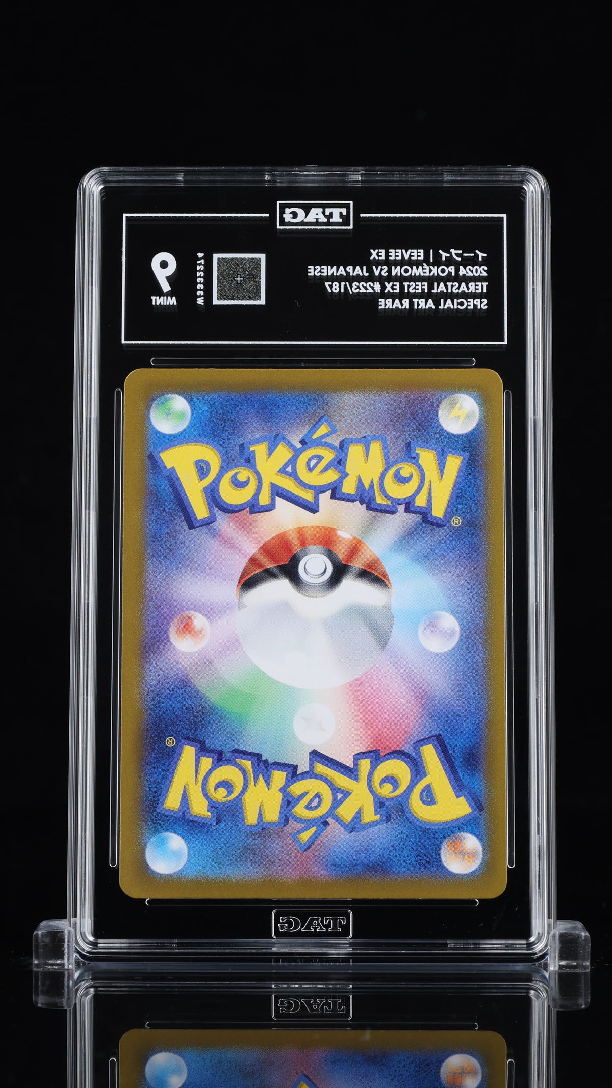 TAG 9 Eevee ex 223 Terastal Festival SV8a Japanese Pokémon SAR