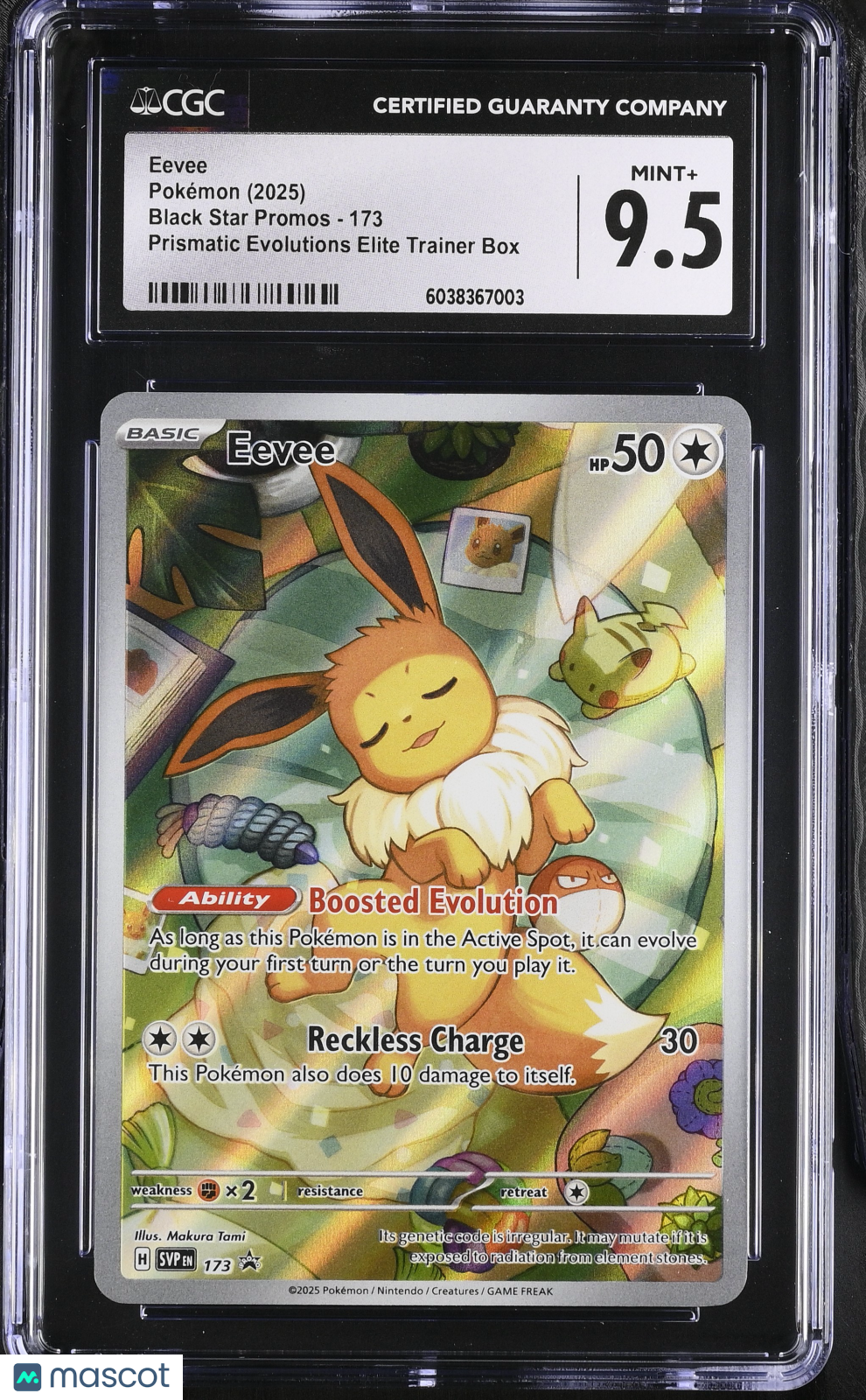 CGC 9.5 Mint+ Eevee 173 Scarlet & Violet Black Star Promos Pokemon