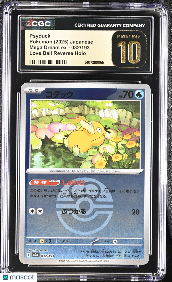 Mega Dream Cards – weedles_warehouse