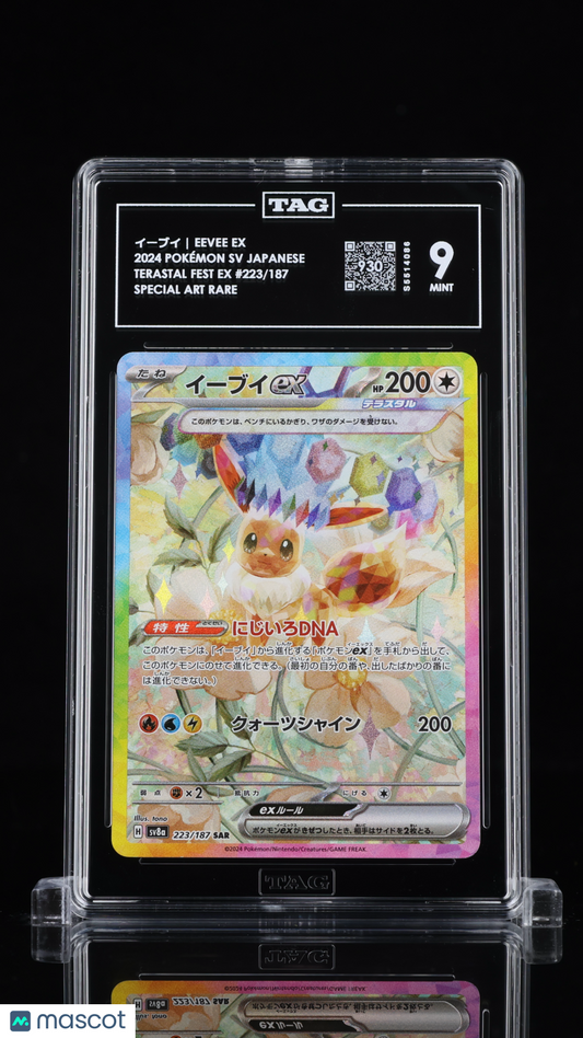 TAG 9 Eevee ex 223 Terastal Festival SV8a Japanese Pokémon SAR