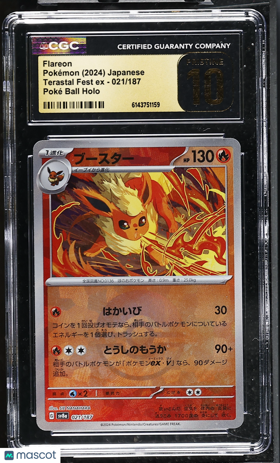 CGC 10 Pristine Flareon 021/187 Poke Ball Terastal Fest sv8a Japanese Pokemon