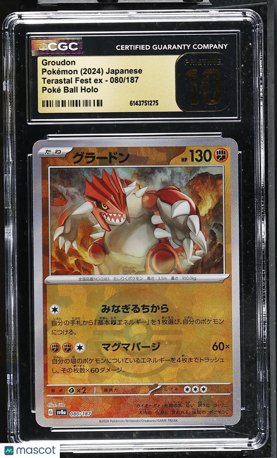 CGC 10 Pristine Groudon 080/187 Poke Ball Terastal Fest SV8a Japanese Pokemon