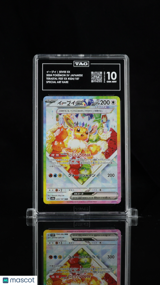 TAG 10 Eevee ex 224 Terastal Festival SV8a Japanese Pokémon SAR