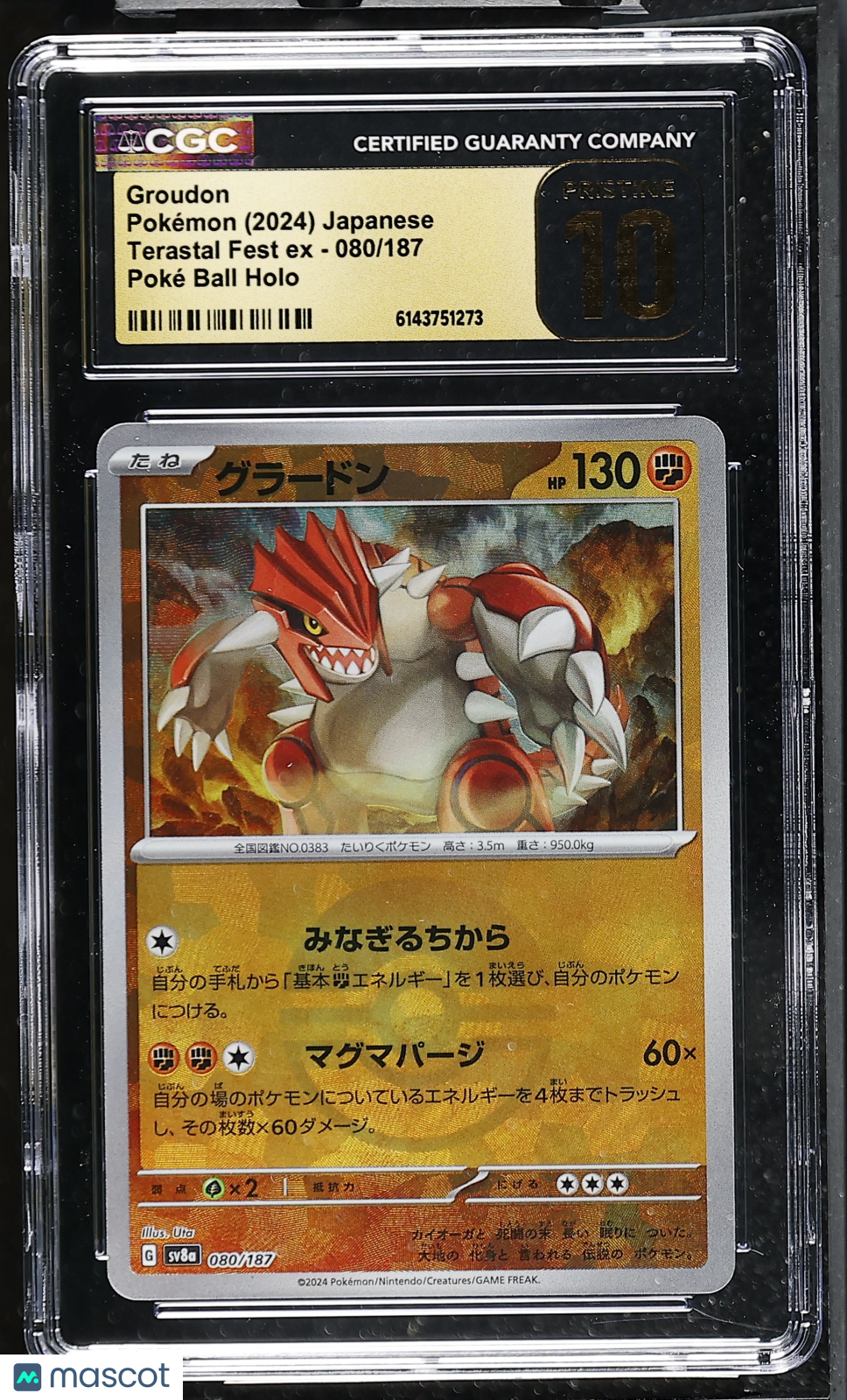 CGC 10 Pristine Groudon 080/187 Poke Ball Terastal Fest SV8a Japanese Pokemon