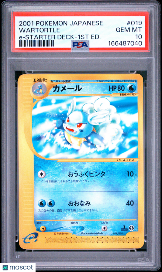 PSA 10 Gem Mint Wartortle 019 1st Edition e-Starter Deck Japanese Pokemon Card