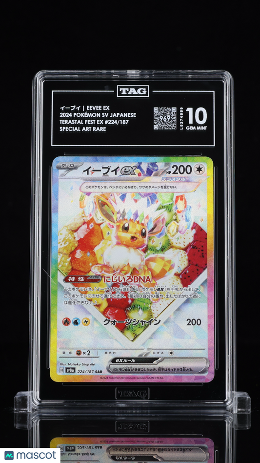 TAG 10 Eevee ex 224 Terastal Festival SV8a Japanese Pokémon SAR