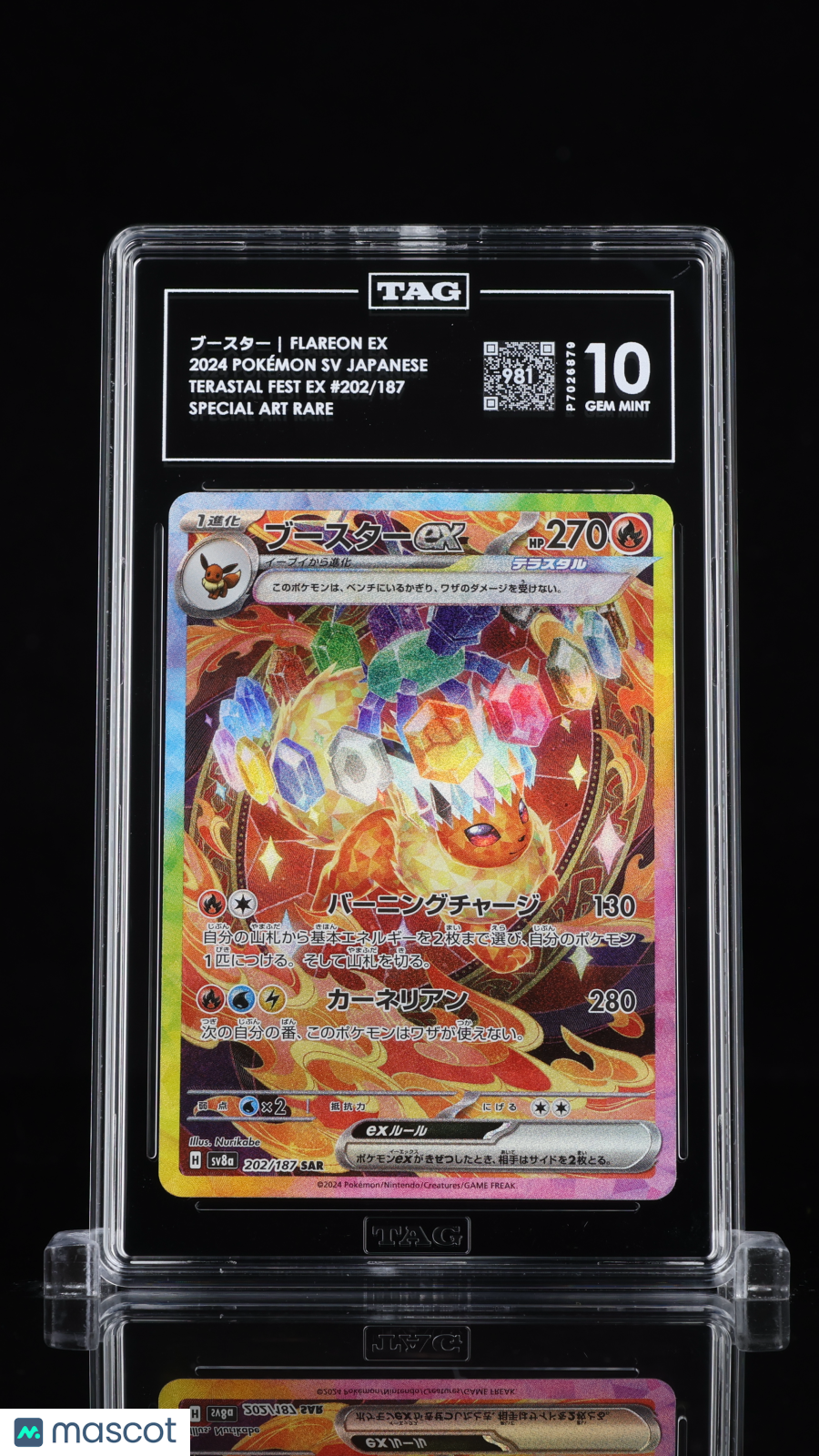 TAG 10 Flareon ex 202 Terastal Festival SV8a Japanese Pokémon SAR