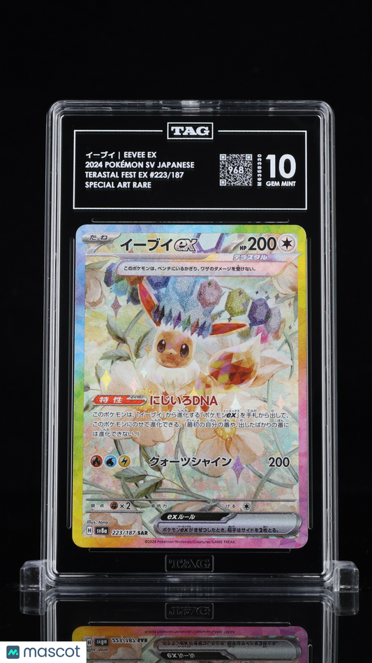 TAG 10 Eevee ex 223 Terastal Festival SV8a Japanese Pokémon SAR