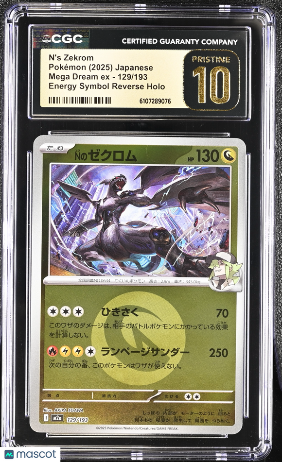 Mega Dream Cards – weedles_warehouse